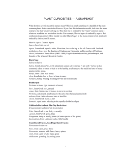 PLANT CURIOSITIES &mdash; A SNAPSHOT
