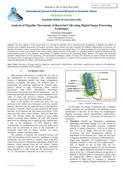 Analysis of Flagellar Movements of Bacterial Cells using