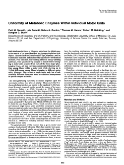 Uniformity of Metabolic Enzymes Within Individual Motor Units