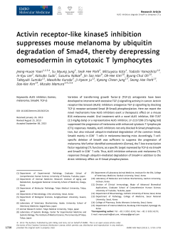 Activin receptor‐like kinase5 inhibition suppresses mouse