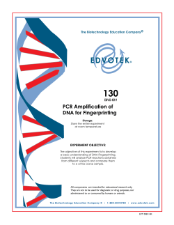 Experiment Procedures
