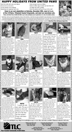 Full Page Adoption Ad