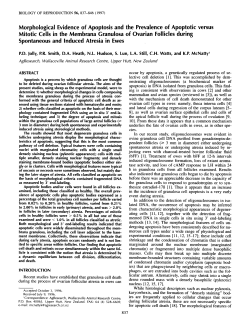 Morphological Evidence of Apoptosis and the Prevalence of