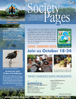 Fall 2015 - "Ding" Darling Wildlife Society