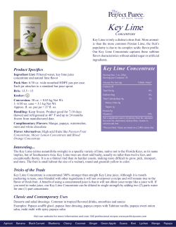 Key Lime Concentrate - The Perfect Puree of Napa Valley