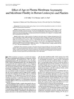 Effect ofAge on Plasma Membrane Asymmetry and Membrane