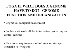 FOGA II. WHAT DOES A GENOME HAVE TO DO?