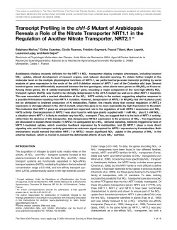 Transcript Profiling in the chl1-5 Mutant of