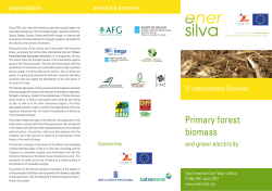 Folleto enersilva ingles