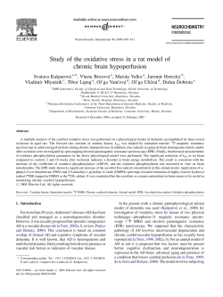 Study of the oxidative stress in a rat model of chronic brain