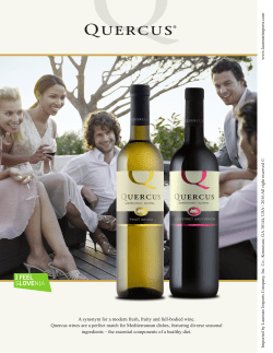 A synonym for a modern fresh, fruity and full
