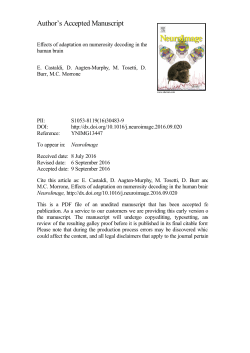 Effects of adaptation on numerosity decoding in the human brain