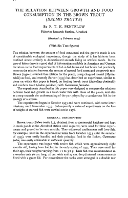 the relation between growth and food consumption in the brown trout