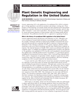 Plant Genetic Engineering and Regulation in the