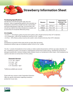 Strawberry Information Sheet