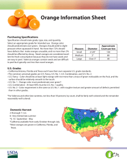 Orange Information Sheet
