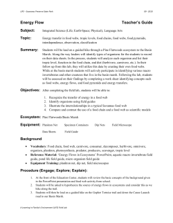 Energy Flow Teacher`s Guide