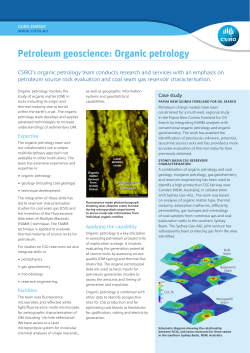 Petroleum geoscience: Organic petrology