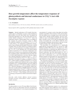 Does growth temperature affect the temperature responses of