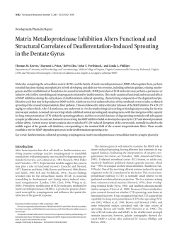 Matrix Metalloproteinase Inhibition Alters Functional and