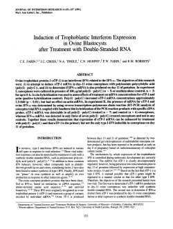 Induction of Trophoblastic Interferon Expression in Ovine Blastocysts