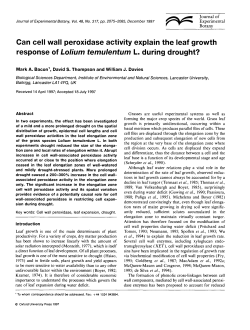 Can cell wall peroxidase activity explain the leaf