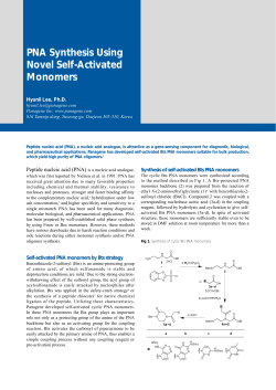 PNA Synthesis Using Novel Self-Activated Monomers