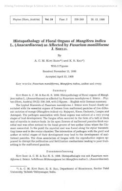 Histopathology of Floral Organs of Mangifera indica L.