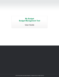 My Budget - Budget Management Tool - User Guide