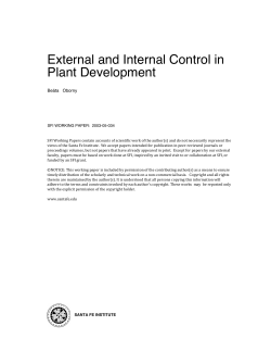 External and Internal Control in Plant Development
