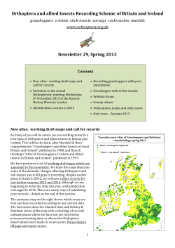 Orthoptera and allied Insects Recor Newsletter llied