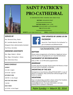 saint patrick`s pro-cathedral - St. Patrick`s Pro