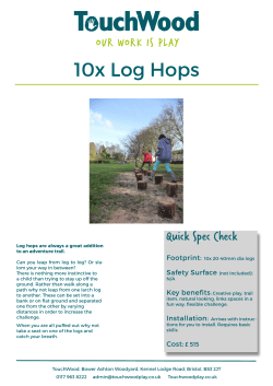 10x Log Hops - Touchwood Play