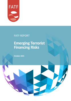 Emerging Terrorist Financing Risks