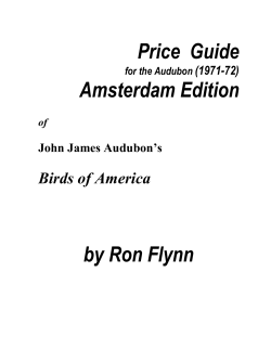 Price Guide Amsterdam Edition by Ron Flynn