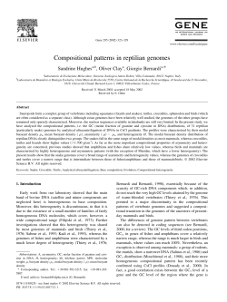 Compositional patterns in reptilian genomes