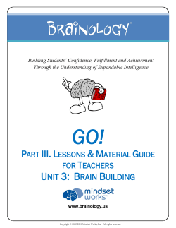 Introduction to Brainology