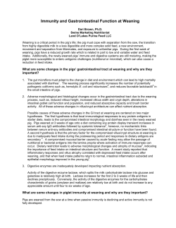 Immunity and Gastrointestinal Function at Weaning