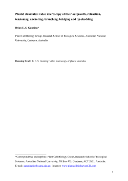 Plastid stromules: observations on their outgrowth, retraction