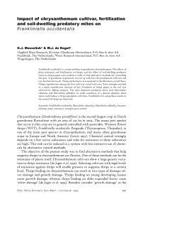Impact of chrysanthemum cultivar, fertilization and soil