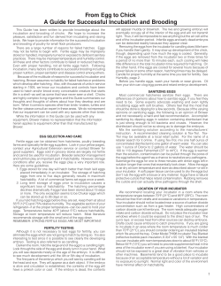 From Egg to Chick A Guide for Successful Incubation and Brooding