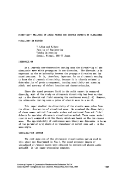 Directivity Analysis of Angle Probes and Surface Defects by
