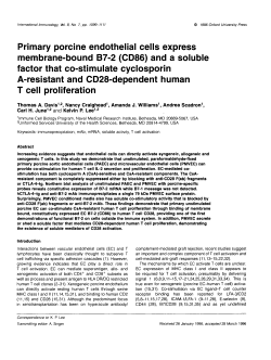 Primary porcine endothelial cells express membrane-bound B7