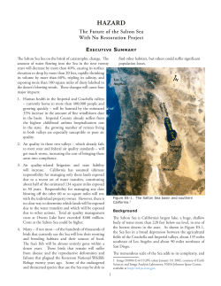 four-page executive summary