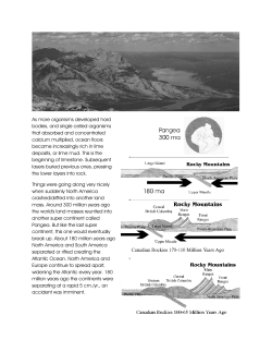 As more organisms developed hard bodies, and single celled