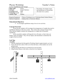 Lever: Equilibrium and Torque