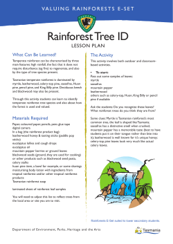 Rainforest Tree ID