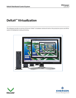 DeltaV Virtualization - Automation Solutions