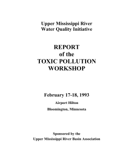 Report of the Toxic Pollution Workshop