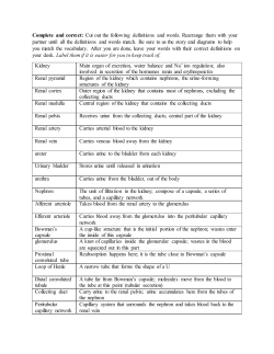 Complete and correct: Cut out the following definitions and words